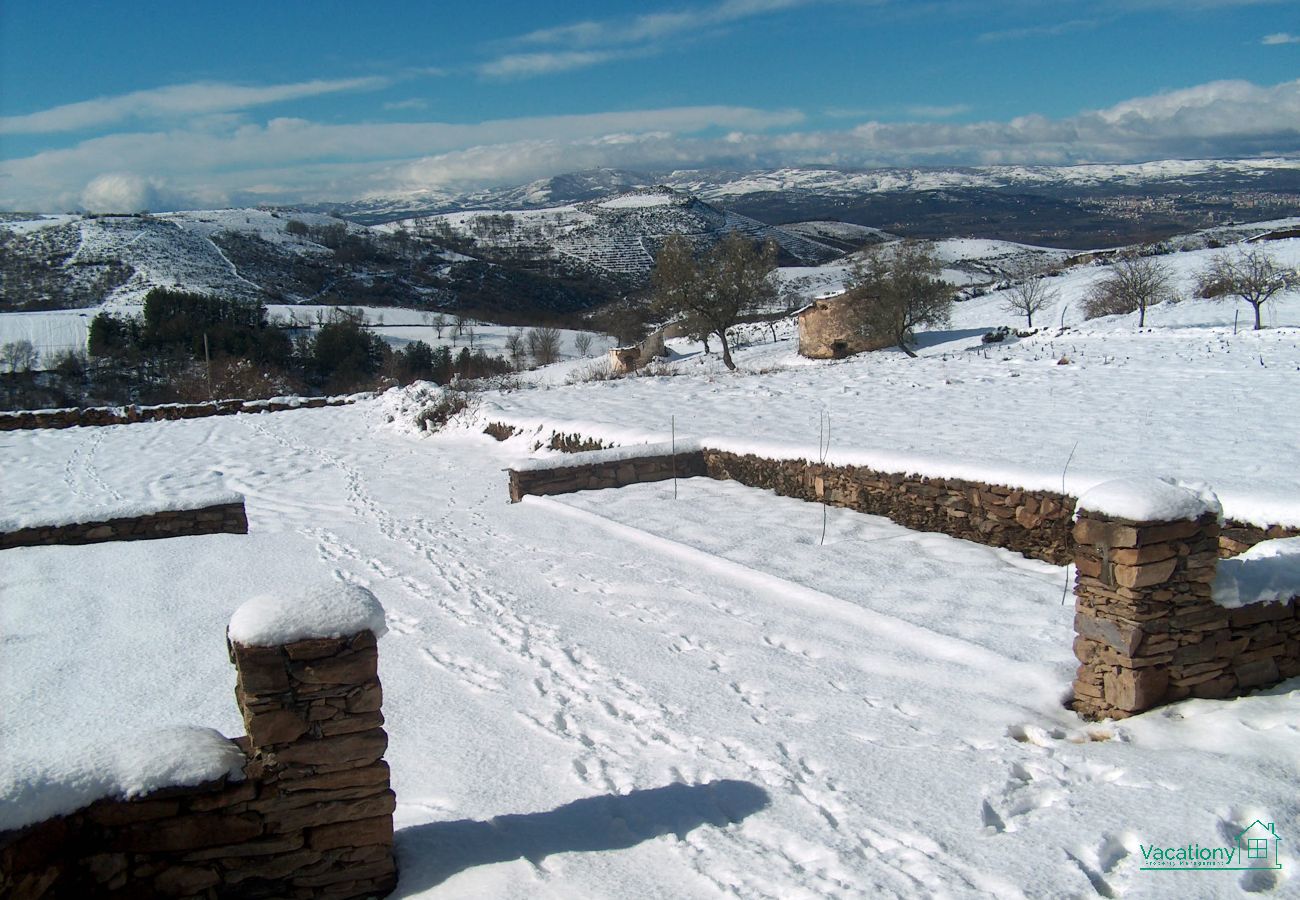 Rent by room in Braganza - CASA LUIS GONZAGA - GRUPO CORAL by VACATIONY